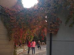 -辽宁大学(崇山校区)