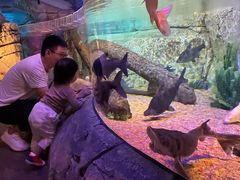 -沈阳海洋探索中心