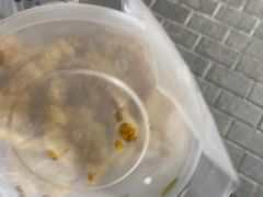 -北大地皖峰饭馆