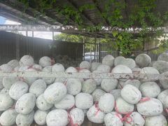 -红旗山庄(圭峰山店)