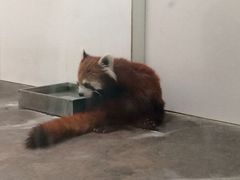 iphone_upload_pic-西安秦岭野生动物园