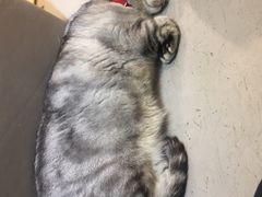 -小时光咖啡馆(开森度假森林店)