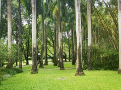 -荔香公园