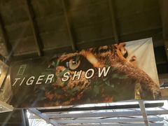 -清迈夜间动物园