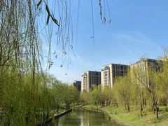 -新江湾城公园