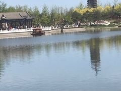 -西海子公园