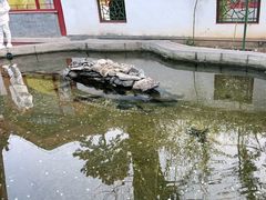 -红螺寺