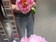 -朝来春花卉市场