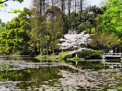 -杭州植物园