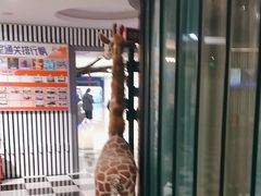 -H次元沉浸剧情密室(街道口店)