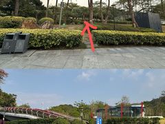 -云溪植物园