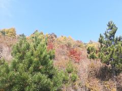 -白草畔自然风景区