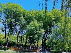 -玲珑塔公园