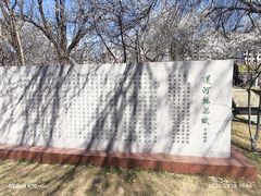 -桃花堤公园