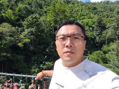 -西双版纳原始森林公园