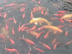 -天女山森林公园