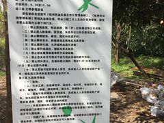 -西湖风景区-江洋畈生态公园