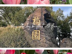 -无锡梅园公园