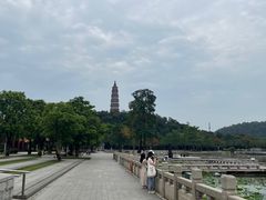 -顺峰山公园