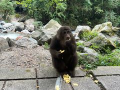-西岭雪山大飞水景区