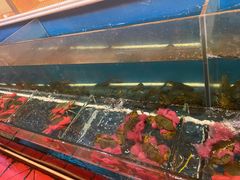 -虾胡闹·澳洲小龙虾·烧烤(福田鲨鱼店)