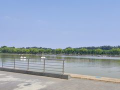 -廊坊文化艺术中心