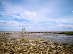 -南汇嘴观海公园