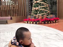 -上海滴水湖皇冠假日酒店