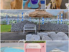 -Blue Concept Cafe&Farm·關於藍