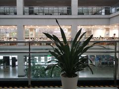 -青岛市图书馆
