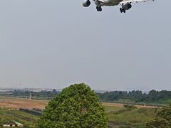 -空港花田景区