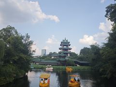 -桂湖森林公园