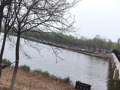 -西青郊野公园