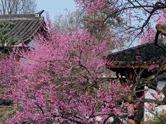 -杭州植物园