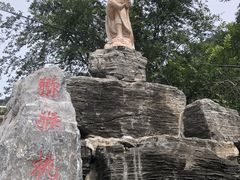 -大岭沟猕猴桃谷风景区