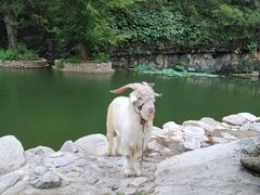 -快活林烧烤(红新路店)