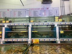 -大茄来海鲜餐厅(亚洲城分行)