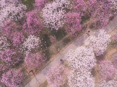 -华中科技大学光谷体育馆