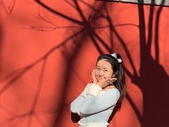 -北京国子监胡同