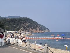 -棒棰岛宾馆景区