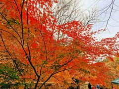 -崂山九水游览区