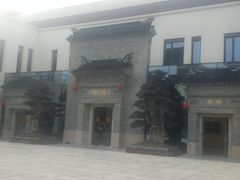 -国寿嘉园·苏州雅境