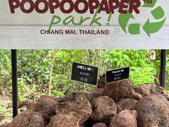 -大象粑粑造纸公园