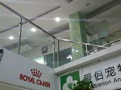 -爱侣宠医·鹦鹉专科·小型哺乳类·异宠专科(灵石路店)