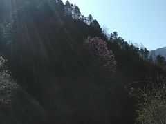 -石棉县孟获城