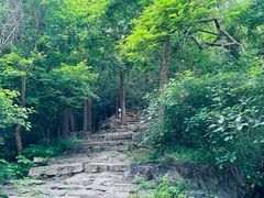 -北京鹫峰国家森林公园