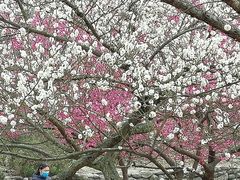 -秀丽东方