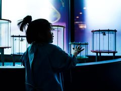 -中国宋庆龄青少年科技文化交流中心