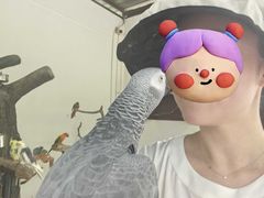 -吉隆坡雀鸟公园