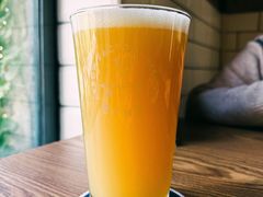 -Arrow Factory Brewing箭厂啤酒